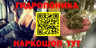 мдпв Пенза