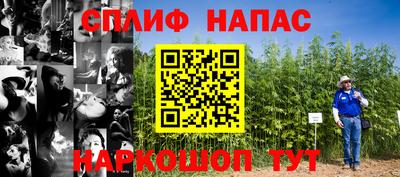 мдпв Пенза
