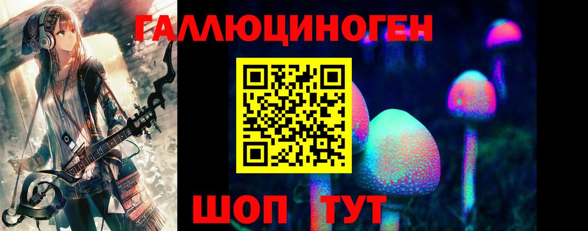Псилоцибиновые грибы Psilocybine cubensis Троицк