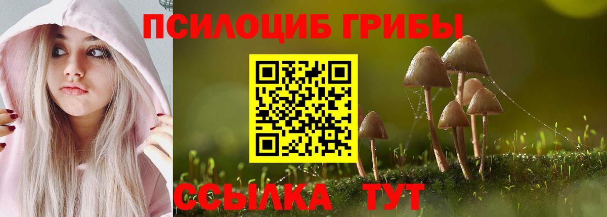 Галлюциногенные грибы Psilocybe  Вход с VPN  Троицк 